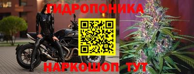 COCAINE Сланцы